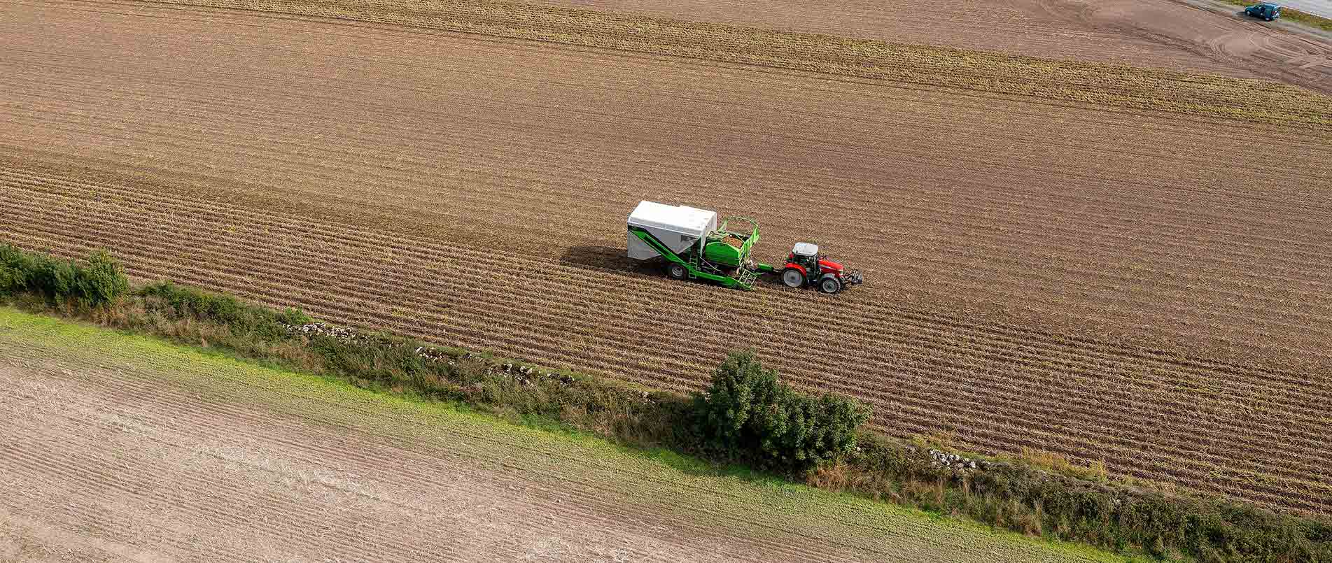 “探、收、烘、运”，看mg不朽情缘官网如何四管齐下一站式保障秋收果实