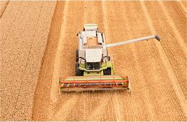 收——加大收割自动化力度，利用智能收获系统，保种保收，提产提质