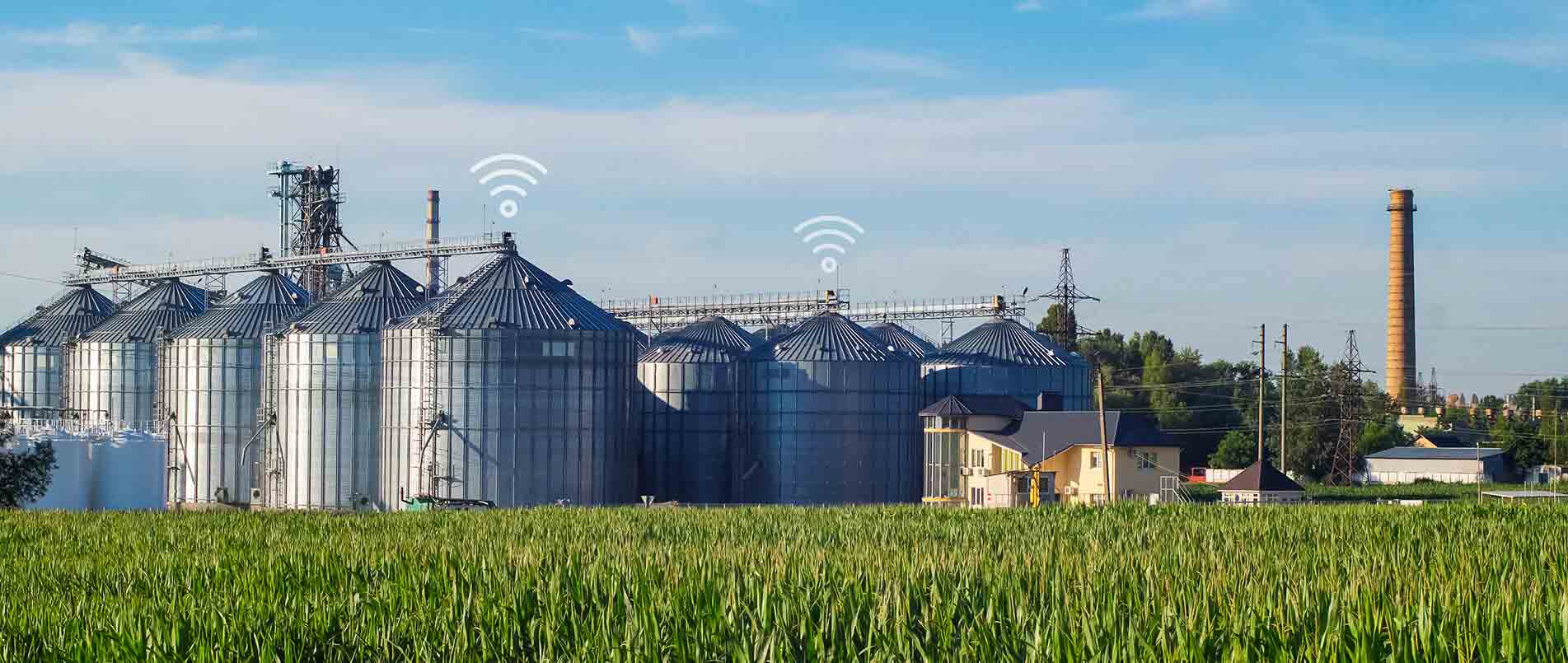 mg不朽情缘官网助力夏粮存储新招式，科技手段更有效