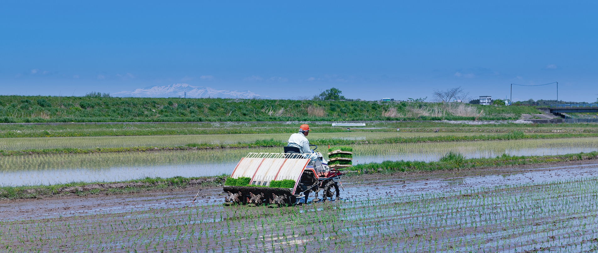 农机水田作业的“智慧大脑”——沃地泰FMA210，告别“经验种植”，开启精准高效农业之旅